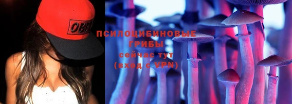 дживик Заводоуковск