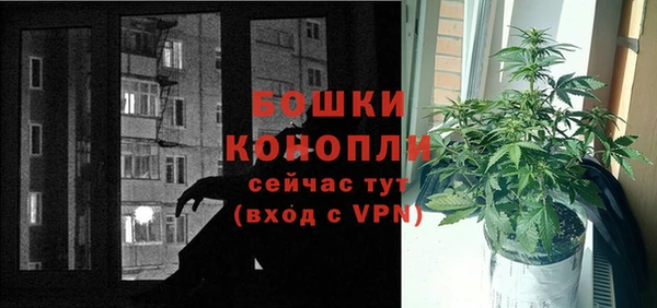 дживик Заводоуковск